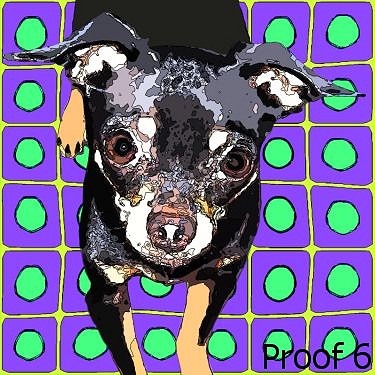 Chihuahua portraits pop art 