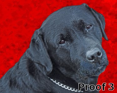Art from your photos