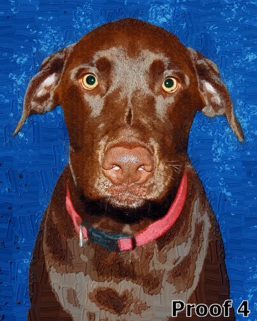 Chocolate Labrador portraits and gifts
