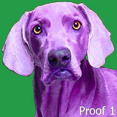 Weimaraner custom portrait