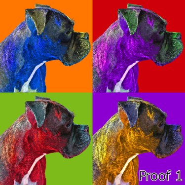 Boxer pop art & gifts