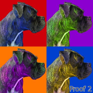 Boxer pop art