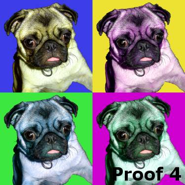 Unique Pug Warhol style art portrait