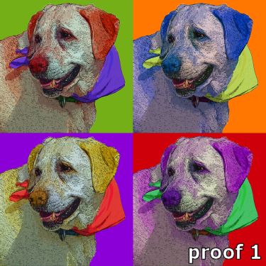 Custom Yellow Lab portraits