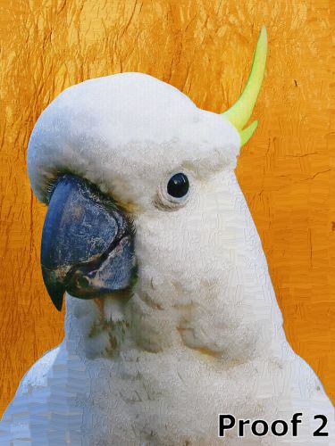 Custom Pet Pop Art Portrait Cockatoo