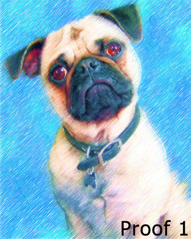 Custom Chinese Pug Art