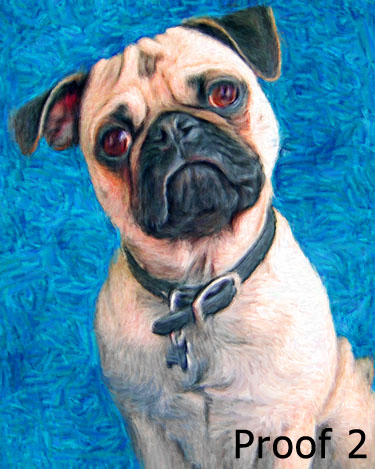 Whimsical Pug portraits