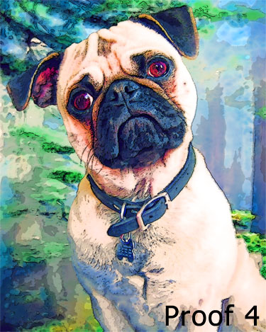 Custom Pug portraits