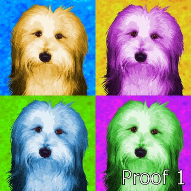 pop art portrait Bearded Collie