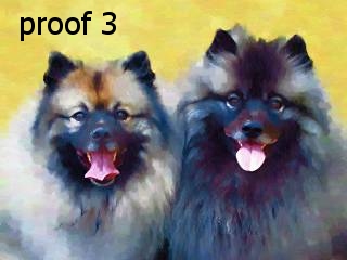 breed specific keeshond portraits