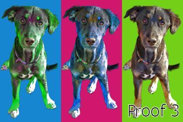 Shepherd portraits and gifts