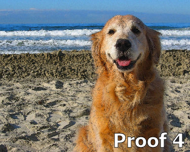 whimsical breed specific Golden Retriever portraits