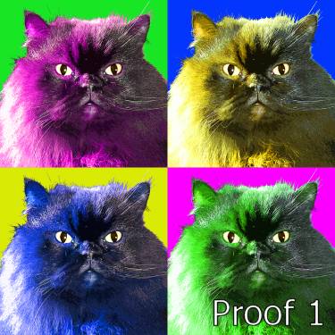 pop art pet portrait cat gifts