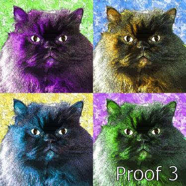 custom cat portrait and gifts
