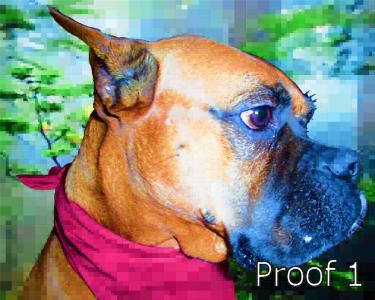 Breed specific boxer art and gifts