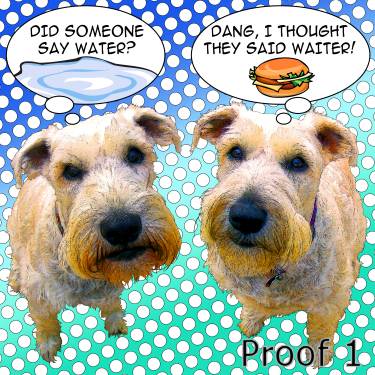 Wheaton Terrier pop art