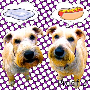 Wheaten Terrier custom art portrait