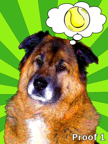 unique dog portraits