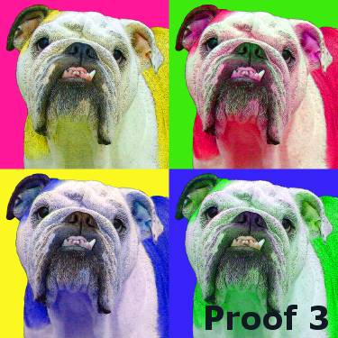 English Bulldog Custom Art Portraits