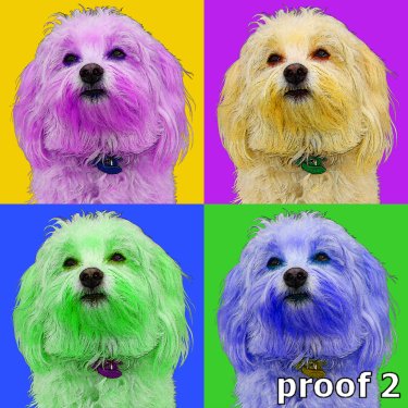 Havanese art 