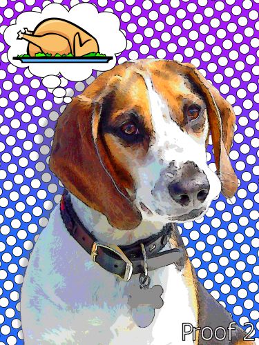 Custom dog pop art portrait Beagle