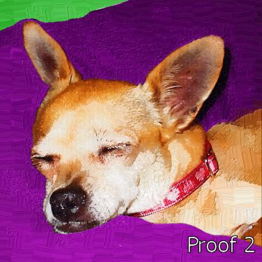 Chihuahua pop art