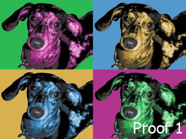 pop art pet portrait Miniature Dachshund