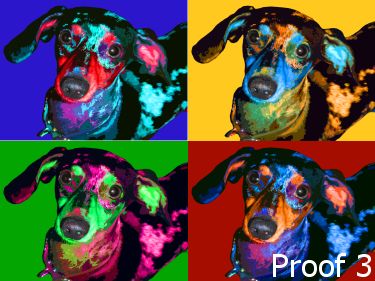 Whimsical Pop Art Portrait Dachshund