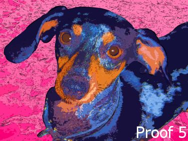 pop art pet portraits Dachshund