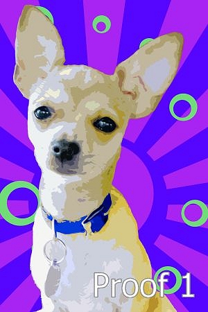 chihuahua pop art pet portrait