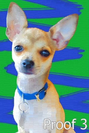 pet pop art portraits and gifts Chihuahua