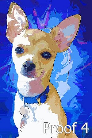 breed specific dog portrait chihuahua