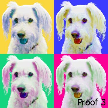 Custom pet portrait