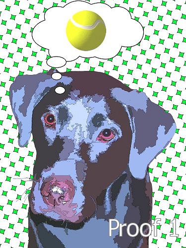 Lichtenstein from your photos custom dog art
