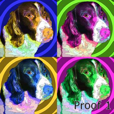 springer spaniel custom art