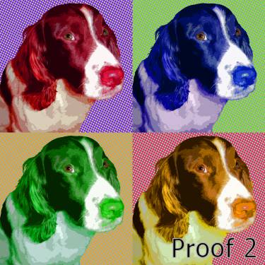 custom pet portrait springer spaniel