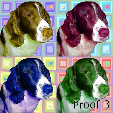 springer spaniel pet art