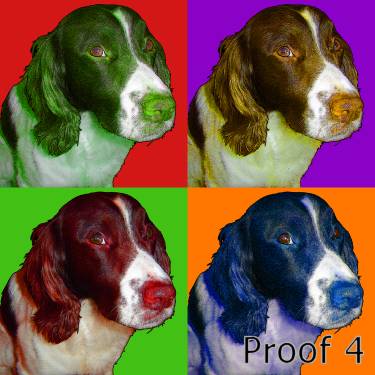 springer spaniel custom dog portraits