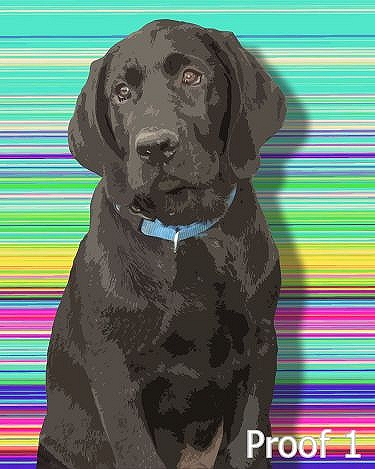 Lab custom portrait