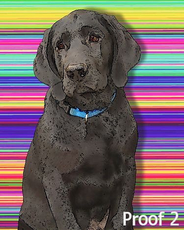Retriever art portraits