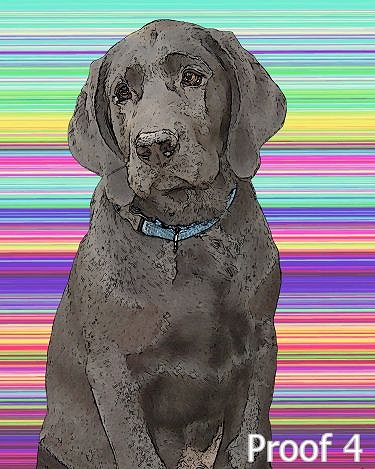 breed specific labrador Retriever art
