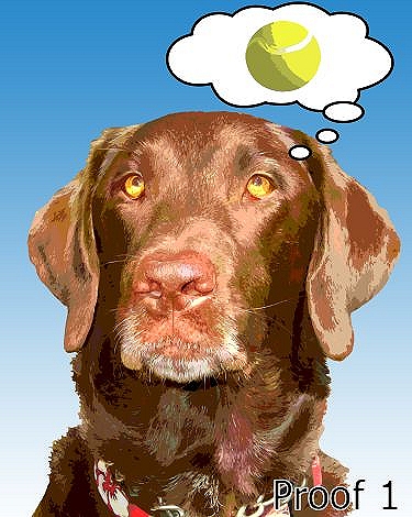 Chocolate Lab pop art