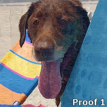 Chocolate Lab portraits and art