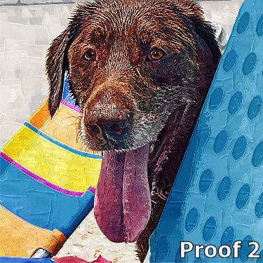 Chocolate Lab Art