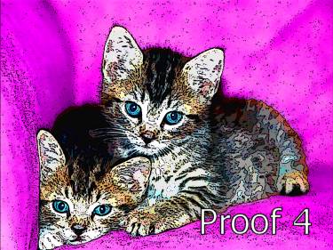 kitty pop art portraits warhol style