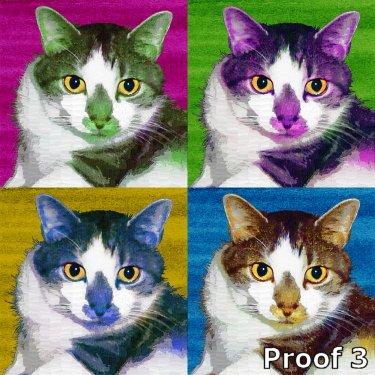 custom cat portraits and gifts