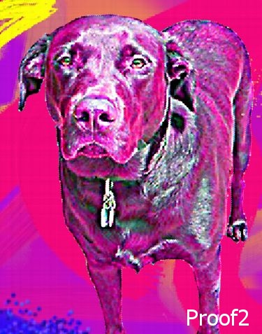 Labrador pop art 