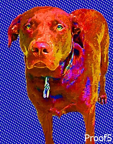 Dog art portraits