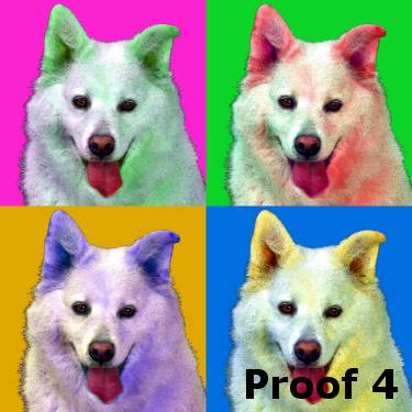 Warhol inspired Samoyed portraits and gift items