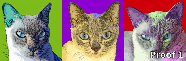 Triptych Warhol Style Art Tonkinese Cats